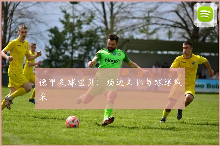 德甲足球宝贝:场边文化与球迷风采