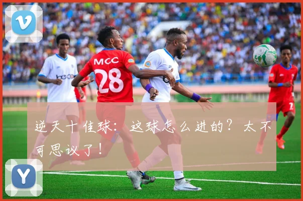 逆天十佳球：这球怎么进的？太不可思议了！