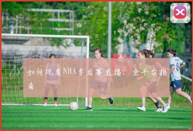 如何观看NBA季后赛直播：全平台指南