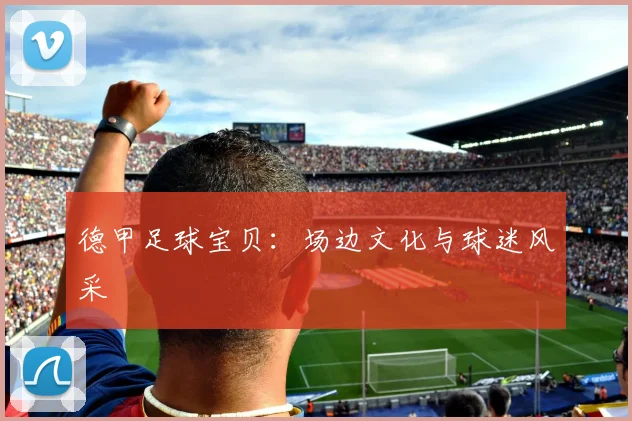 德甲足球宝贝：场边文化与球迷风采