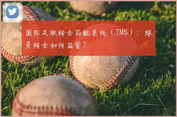 国际足联转会匹配系统（TMS）：球员转会如何监管？