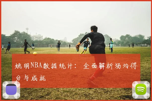 姚明NBA数据统计:全面解析场均得分与成就