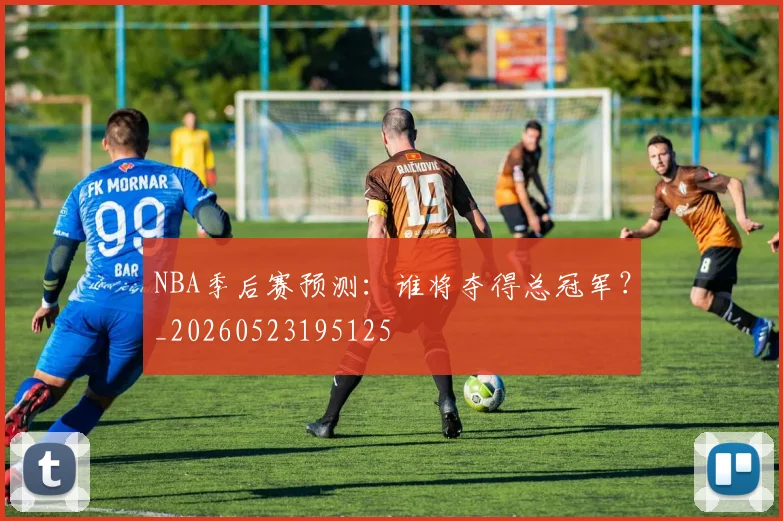 NBA季后赛预测：谁将夺得总冠军？_20260523195125