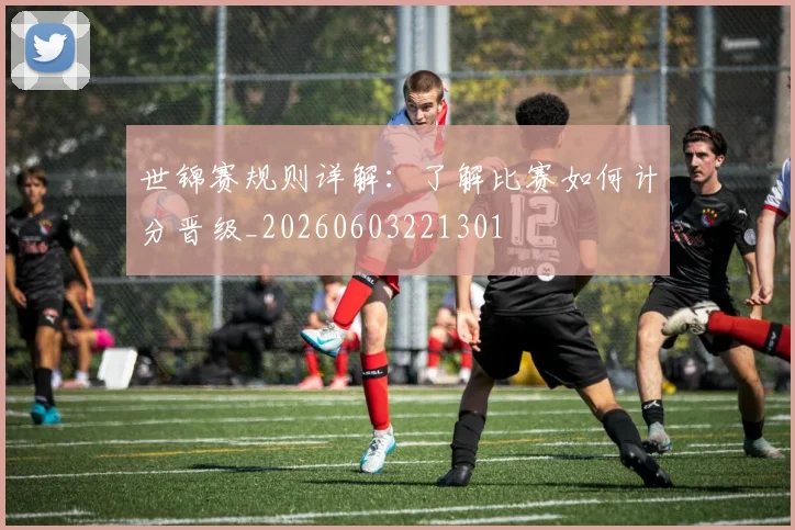 世锦赛规则详解：了解比赛如何计分晋级_20260603221301